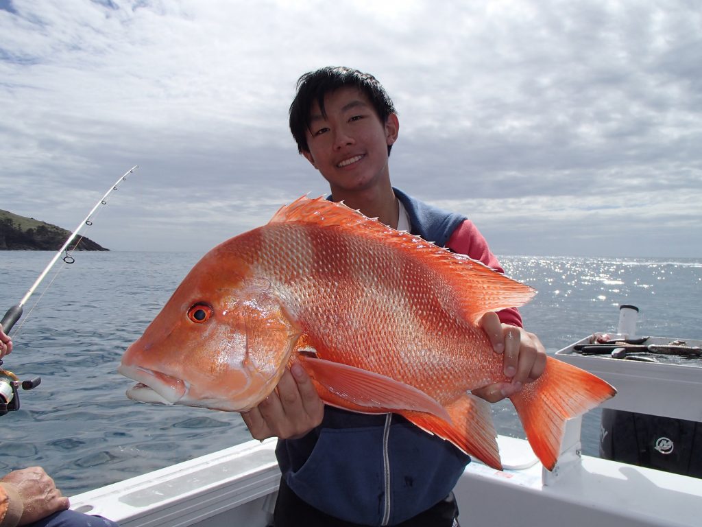 A great days fishing - Red Emperor